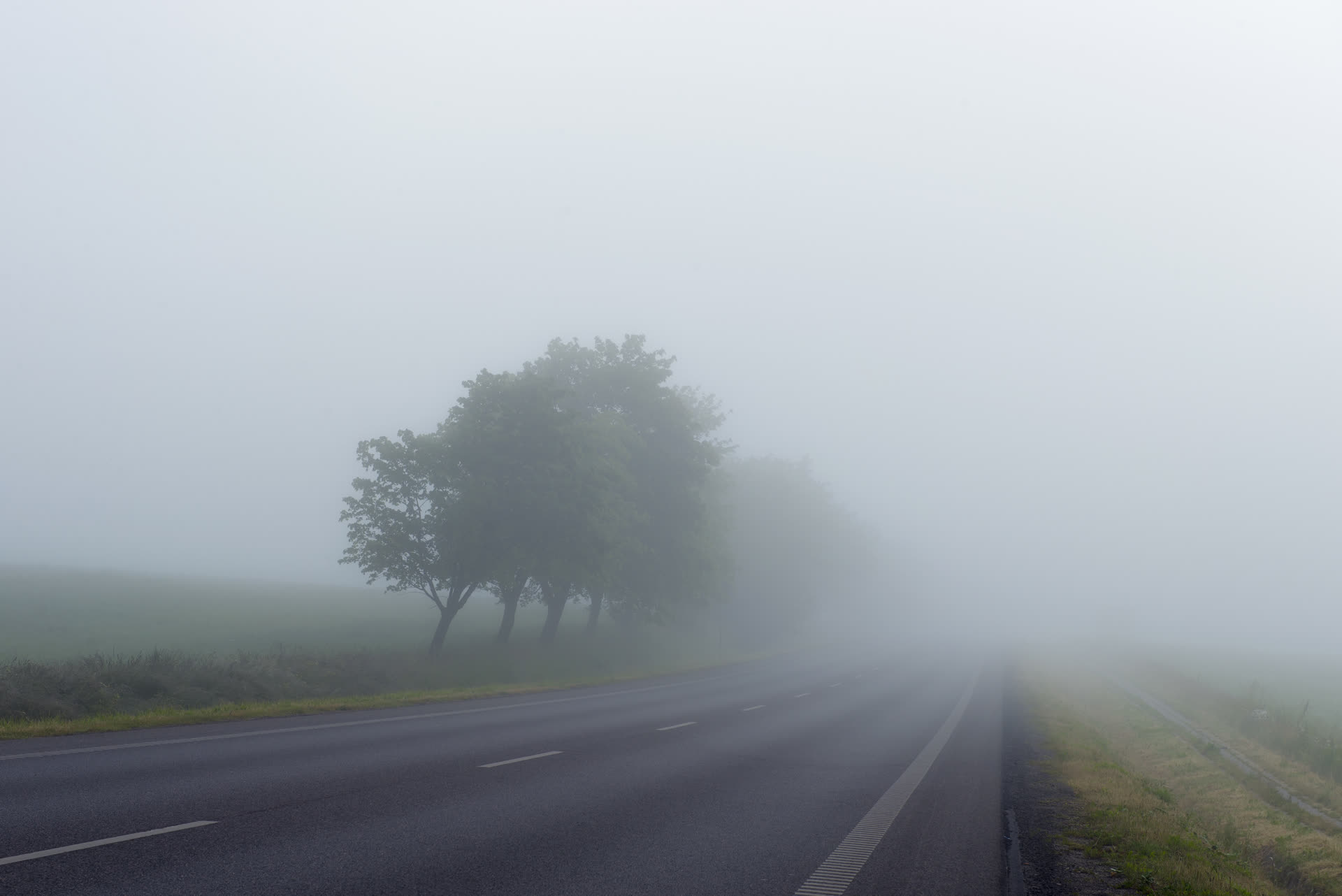 A country road disappearing into heavy fog, the verges and horizon lost in flat grey.